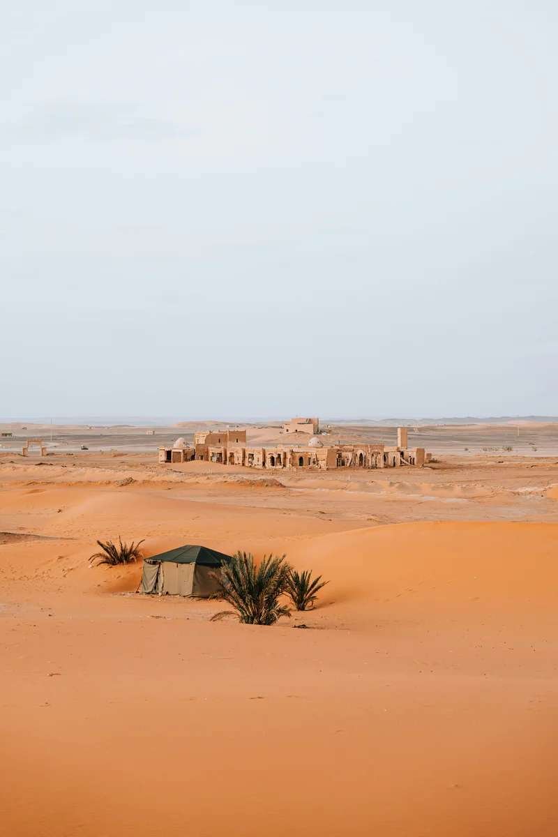 Sahara Desert panorama with golden dunes, palm clusters, and Berber tent under soft light.